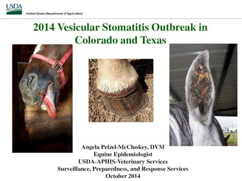 (PDF) 2014 Vesicular Stomatitis Outbreak in Colorado and Texas ...