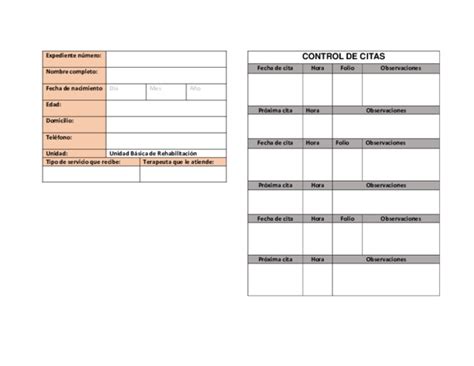 Formato De Carnet De Identidad