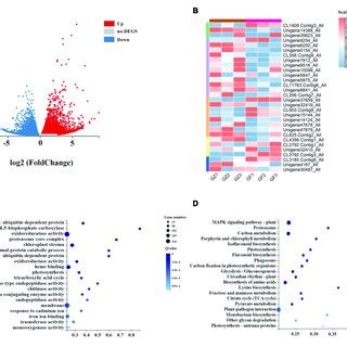 A Volcano Plot Of Differential Gene Expression Analysis B