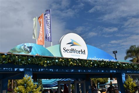 17 Best Rides At SeaWorld San Diego – Planning Away