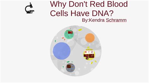 Why don't red blood cells have DNA? by Kendra schramm on Prezi