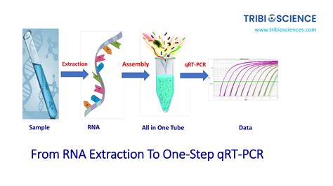 One-Step TaqProbe qRT-PCR Kit – Tribioscience