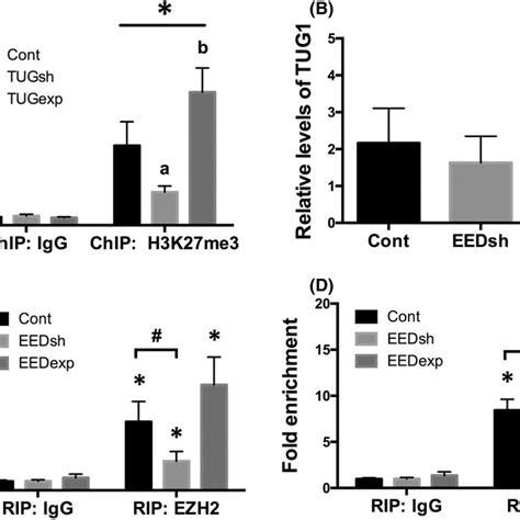 Disruption Of TUG1 PRC2 Interactions Was Involved In The Regulation Of