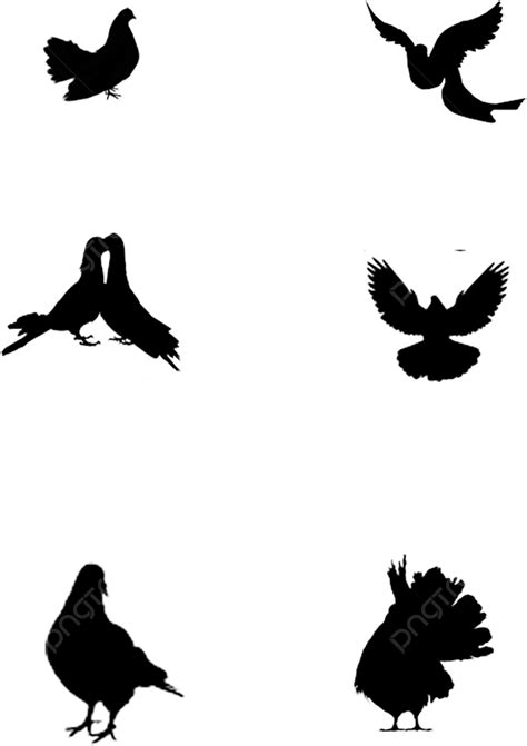 Silueta De Aves PNG Material Vectorial De Silueta De Aves PNG