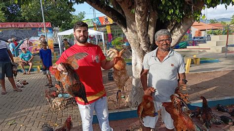 Vanio Mostrando As Novidades Da Feira Das Galinhas De Taquarana Al