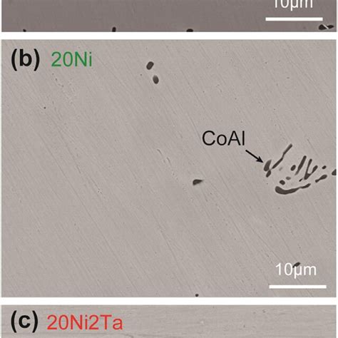 Typical Sem Bse Images Of Microstructures Of A Ni B Ni And C