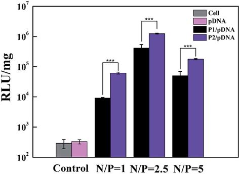 Luciferase Reporter Gene Transfection Efficiency Of Au Denpsmpeg Pdna