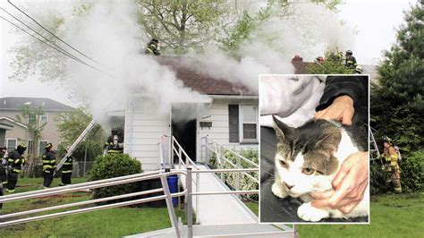 Photos Saddle Brook Police Officer Rescues Cat From Smoky House Blaze Wyckoff Franklin Lakes