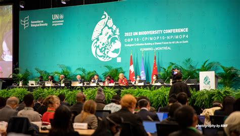 Cop15 Awf Statement On The Newly Adopted Kunming Montreal Global