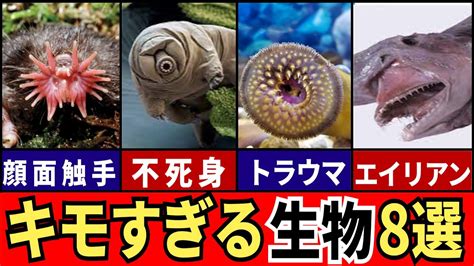 【閲覧注意】あまりにもキモすぎる生き物8選【ゆっくり解説】 Youtube