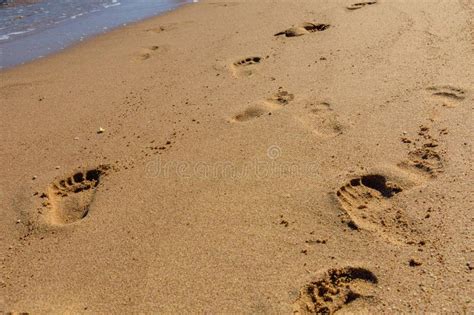 Empreintes De Pas Humaines Sur La Plage Sablonneuse Concept De