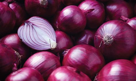 Низкорослые томаты: ТОП-27 лучших сортов - для теплицы и открытого ...