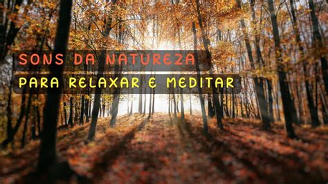 Música para Relaxar e Meditar sons da Natureza relax relaxing