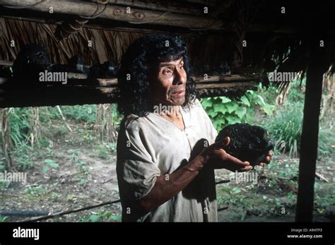 Am Rica Del Norte M Xico Chiapas Naha Selva Lacandona La Ltima