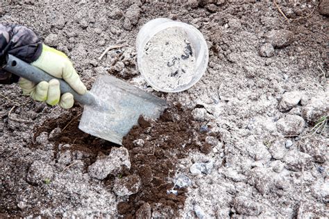 Comment Utiliser La Cendre De Bois Dans Votre Jardin Jardinier Du