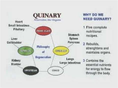 Quaternary And Quinary Activities