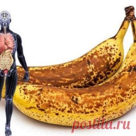 Светлана Маликова: посты