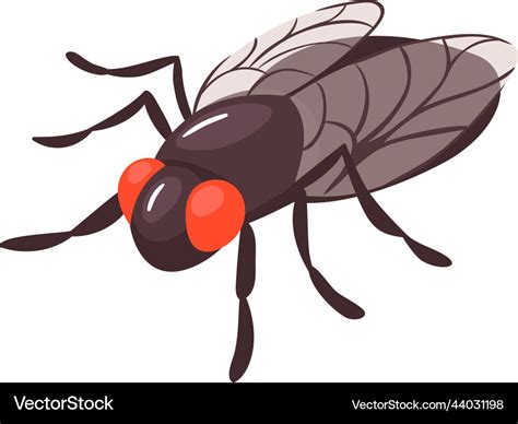 Isometric fly Royalty Free Vector Image - VectorStock