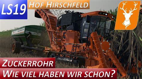 Ls Hof Hirschfeld Wie Viel Zuckerrohr Haben Wir Schon Let S