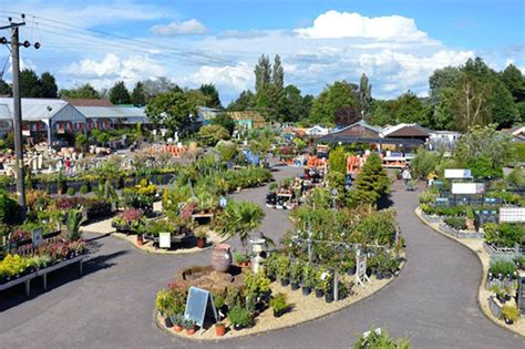 Whitehall Lacock garden centre wins amendment to planning restrictions ...