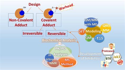 Covalent Modifiers: Reversible Covalent Inhibition─Desired Covalent ... 