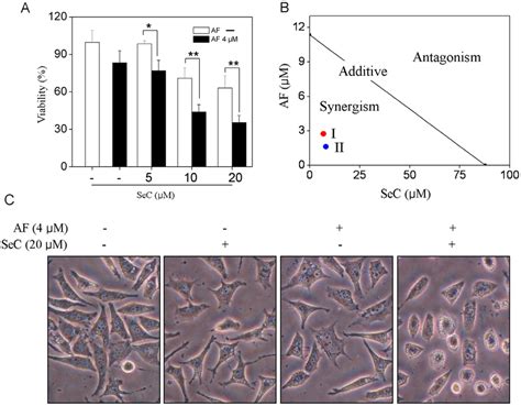 SeC Enhances AF Induced Cytotoxicity In MCF 7 Cells Cells Were