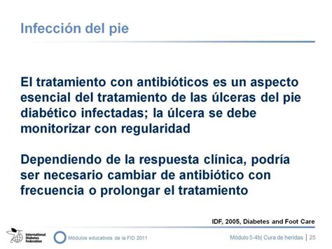 PPT NEUROPATÍA Diabética Y CURA DE HERIDAS EN LA EVP PowerPoint