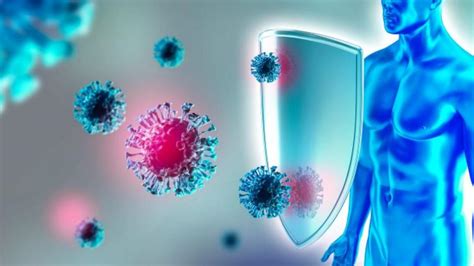 Sistema Immunitario Vaccino E Covid Immunità Innata Adattiva E