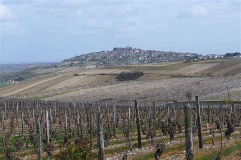 Dubois Boulay Fromager Sancerre Le Crottin De Chavignol Selon Dubois