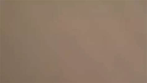 Ts Sissy Michelle Mtf Shemale Porn Creator Videos Free Amateur Nudes