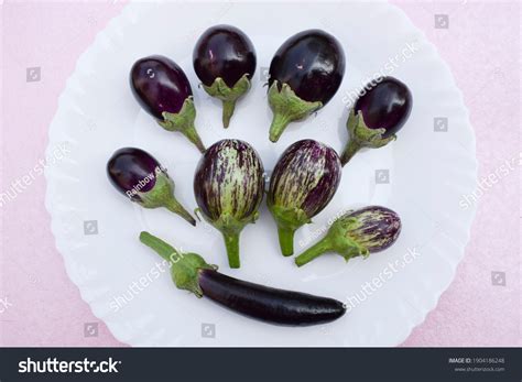 Three Different Variety Types Brinjals Called Stock Photo