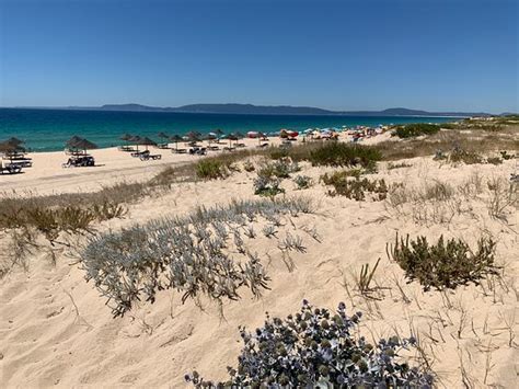 Comporta Beach Grândola ATUALIZADO 2020 O que saber antes de ir