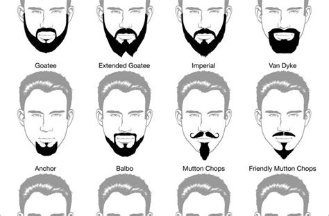 Different Beard Styles