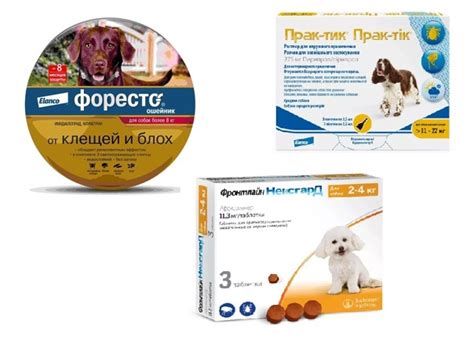 Препараты, от клещей, защищающие от пироплазмоза 1 группа ...