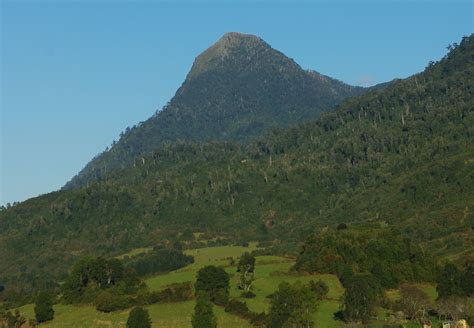 Cerro Mayo Andeshandbook