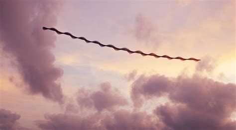 Mesmerizing Photos Capture the Flight Patterns of Birds | Birds in ...