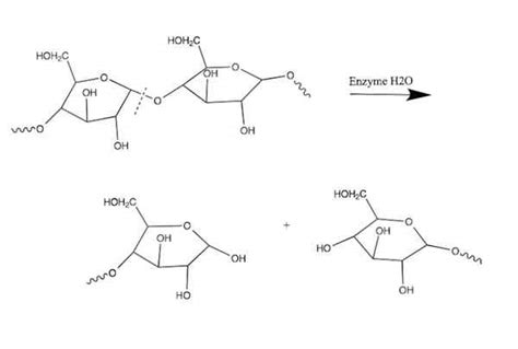 Différence entre l hydrolyse acide et l hydrolyse enzymatique Prodiffs