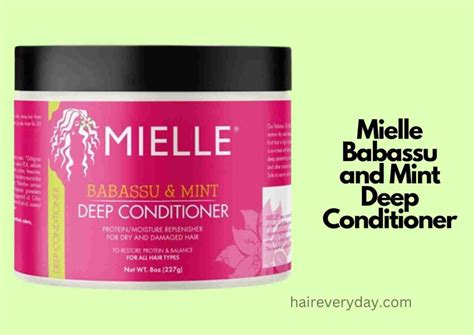 5 Best Deep Conditioners For High Porosity Hair 2024 Hair Everyday Review