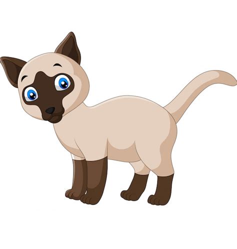 Dibujos animados lindo gato siamés en un blanco Vector Premium