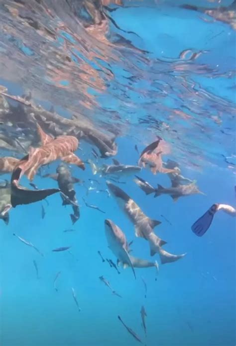 Inside Faye Brookes Lavish Maldives Honeymoon With Best Friend As She Stuns In Black Bikini