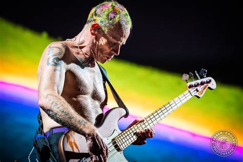 Red Hot Chili Peppers Run Wild At Rogers Centre With The Strokes And Thundercat Photos V13 Net