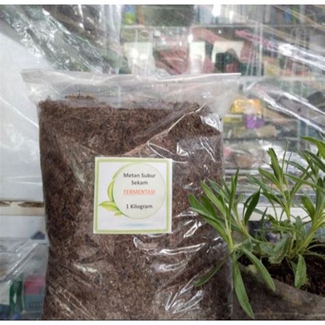 Jual Media Tanam Sekam Fermentasi 1 Kg Media Tanam Subur Plus Cocopeat