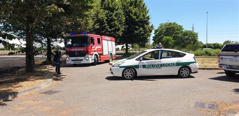 Incendio Distrugge Un Campo Agricolo A Villa Cortese Tanto Lavoro In