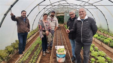 F Rum A Ores Bio Promoveu Visita Ilha Das Flores Da Rede Bio