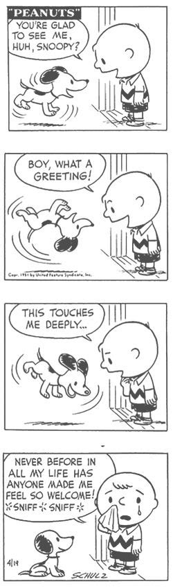 Pin By Elizabeth Belt On Peanuts Comic Strip In Snoopy Funny