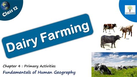 Dairy Farming Primary Activities Class 12 Geography Youtube