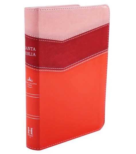 Biblia Compacta Letra Grande Con Referencias RVR 1960 Simil Piel