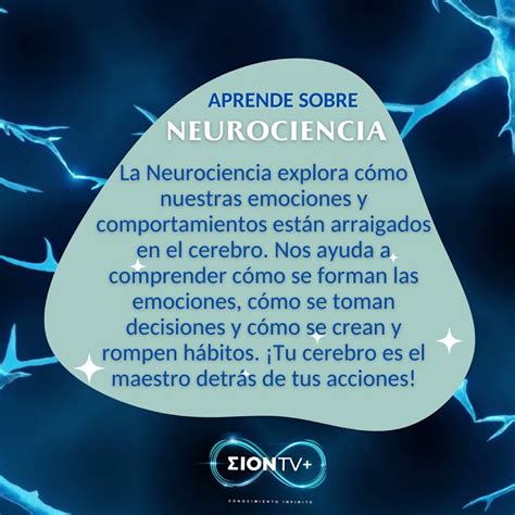 ¡descubre Los Secretos De Tu Cerebro Con La Neurociencia 🧠 Youtube