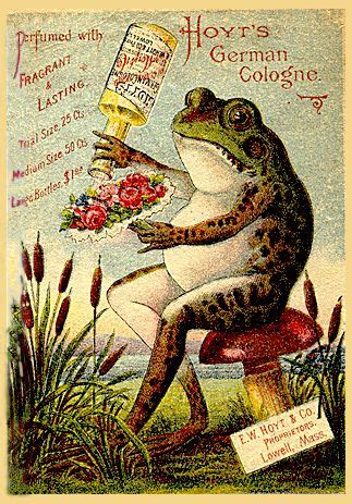 Perfuming Flowers With Hoyt S German Cologne About Frog