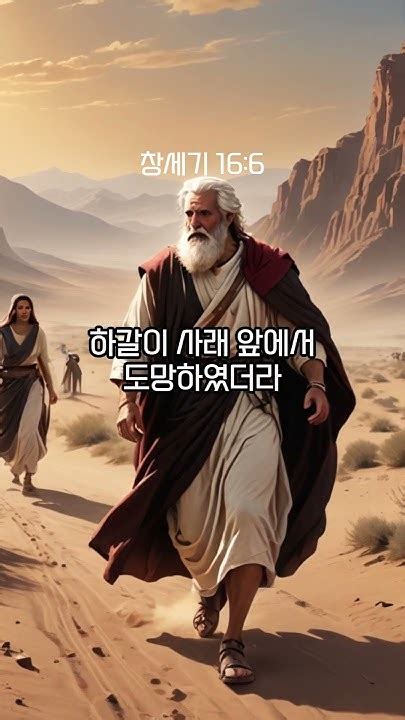 1분성경 창세기 165 8 성경 성경통독 성경공부 Bible Genesis Shorts 창세기16장